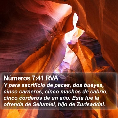 Números 7:41 RVA Bible Verse Image