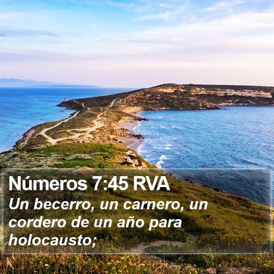 Números 7:45 RVA Bible Verse Image