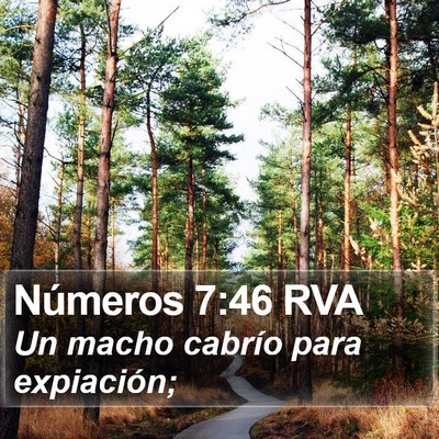 Números 7:46 RVA Bible Verse Image