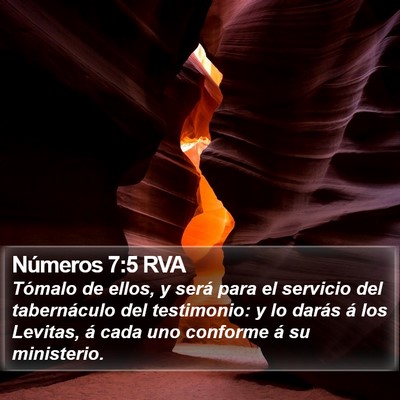 Números 7:5 RVA Bible Verse Image