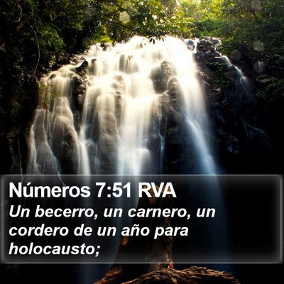 Números 7:51 RVA Bible Verse Image