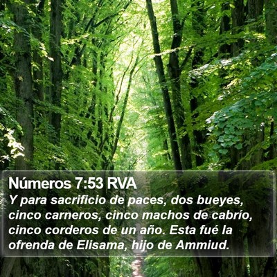 Números 7:53 RVA Bible Verse Image