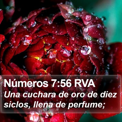 Números 7:56 RVA Bible Verse Image