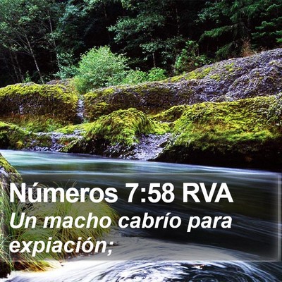 Números 7:58 RVA Bible Verse Image
