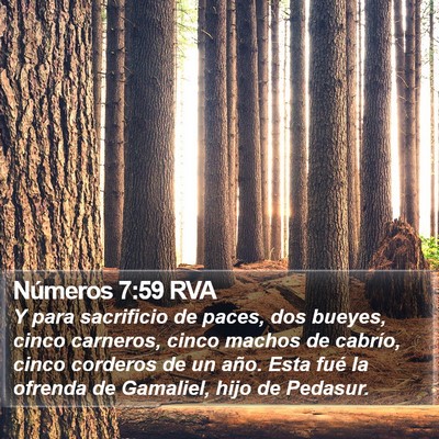 Números 7:59 RVA Bible Verse Image
