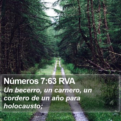 Números 7:63 RVA Bible Verse Image