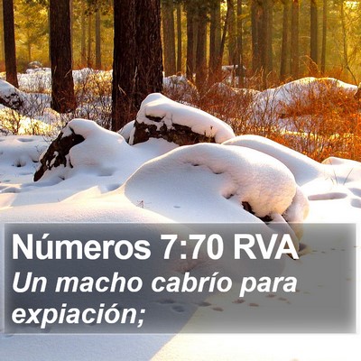 Números 7:70 RVA Bible Verse Image