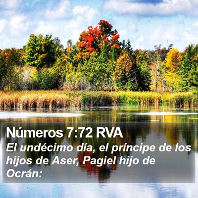 Números 7:72 RVA Bible Verse Image