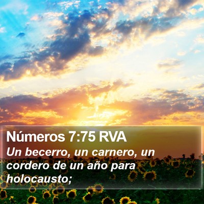 Números 7:75 RVA Bible Verse Image