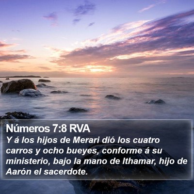 Números 7:8 RVA Bible Verse Image