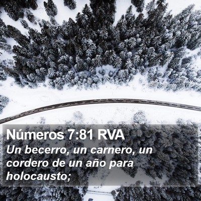 Números 7:81 RVA Bible Verse Image