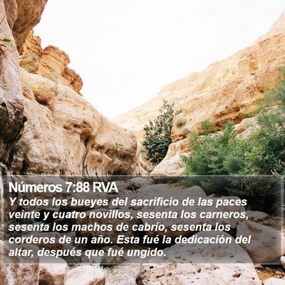 Números 7:88 RVA Bible Verse Image