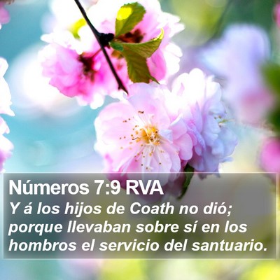 Números 7:9 RVA Bible Verse Image