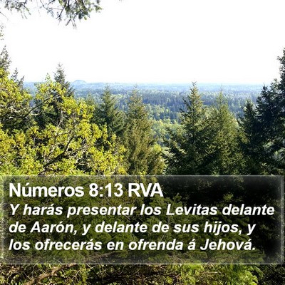 Números 8:13 RVA Bible Verse Image