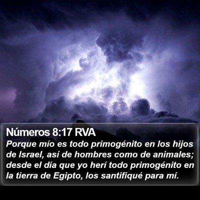 Números 8:17 RVA Bible Verse Image