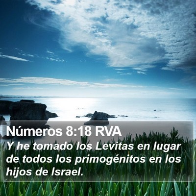 Números 8:18 RVA Bible Verse Image