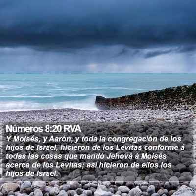 Números 8:20 RVA Bible Verse Image