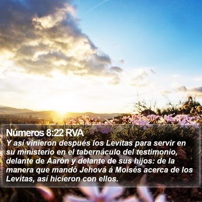Números 8:22 RVA Bible Verse Image