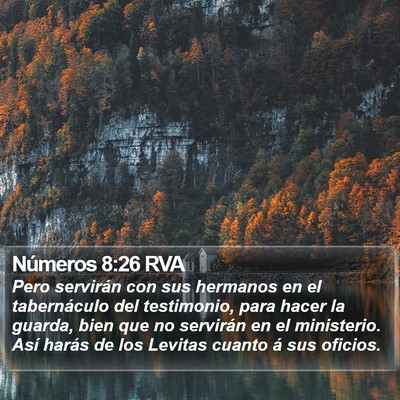 Números 8:26 RVA Bible Verse Image