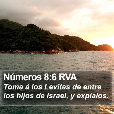 Números 8:6 RVA Bible Verse Image