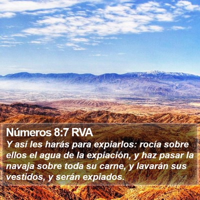 Números 8:7 RVA Bible Verse Image