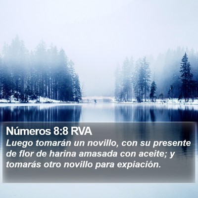 Números 8:8 RVA Bible Verse Image