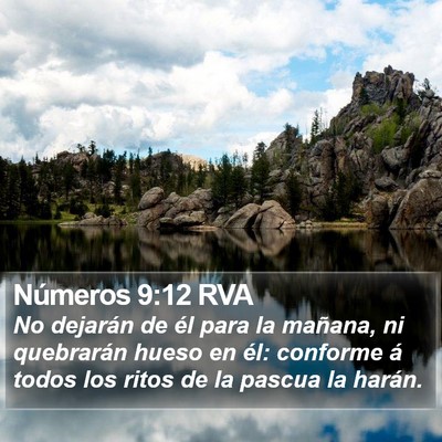 Números 9:12 RVA Bible Verse Image