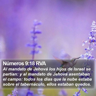 Números 9:18 RVA Bible Verse Image