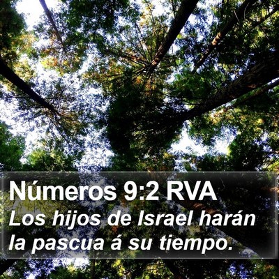 Números 9:2 RVA Bible Verse Image