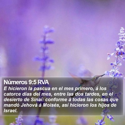 Números 9:5 RVA Bible Verse Image