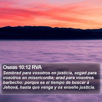 Oseas 10:12 RVA Bible Verse Image