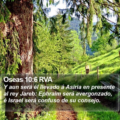 Oseas 10:6 RVA Bible Verse Image