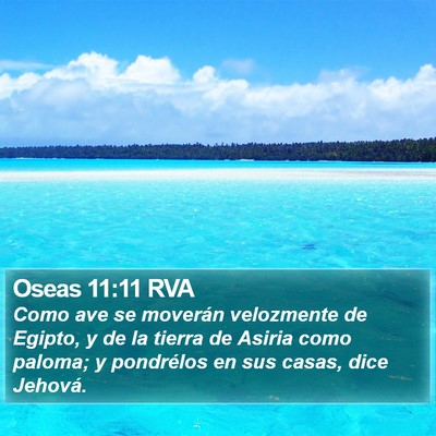 Oseas 11:11 RVA Bible Verse Image