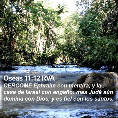 Oseas 11:12 RVA Bible Verse Image
