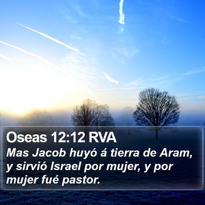 Oseas 12:12 RVA Bible Verse Image