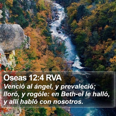 Oseas 12:4 RVA Bible Verse Image