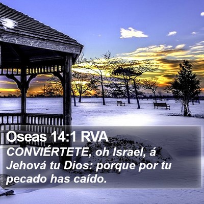 Oseas 14:1 RVA Bible Verse Image