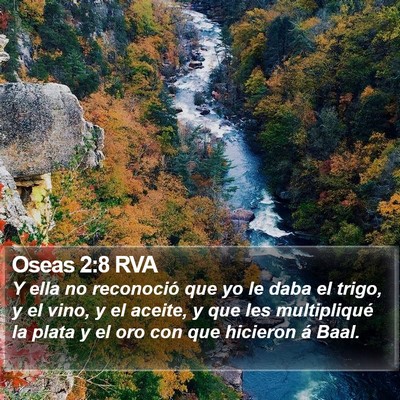 Oseas 2:8 RVA Bible Verse Image