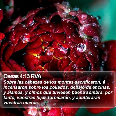 Oseas 4:13 RVA Bible Verse Image