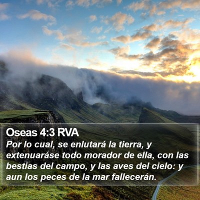 Oseas 4:3 RVA Bible Verse Image