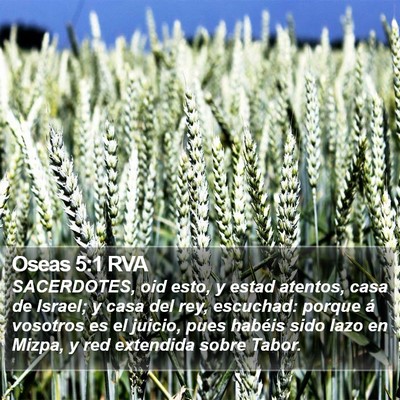 Oseas 5:1 RVA Bible Verse Image
