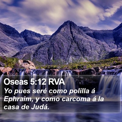 Oseas 5:12 RVA Bible Verse Image