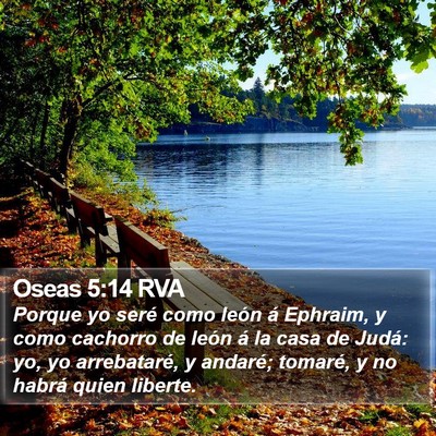 Oseas 5:14 RVA Bible Verse Image