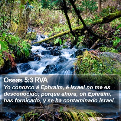 Oseas 5:3 RVA Bible Verse Image