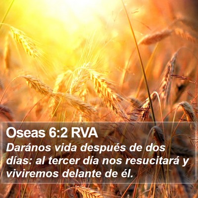 Oseas 6:2 RVA Bible Verse Image