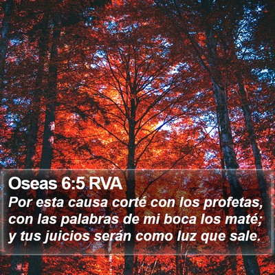 Oseas 6:5 RVA Bible Verse Image