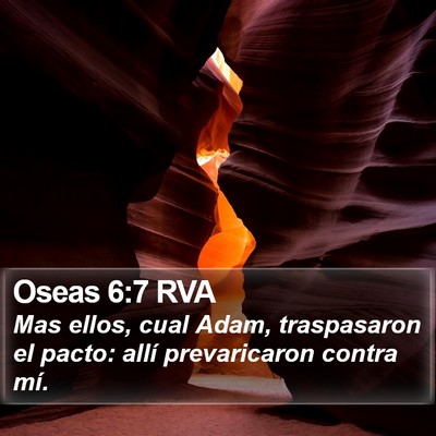 Oseas 6:7 RVA Bible Verse Image