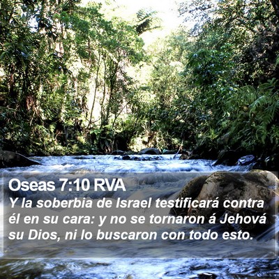 Oseas 7:10 RVA Bible Verse Image