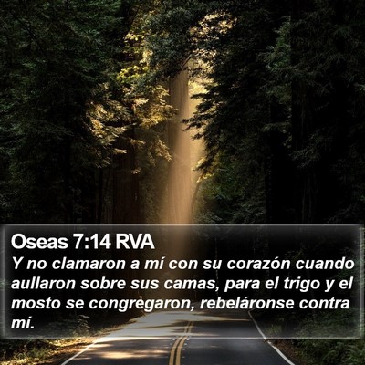 Oseas 7:14 RVA Bible Verse Image