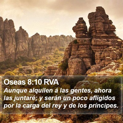 Oseas 8:10 RVA Bible Verse Image